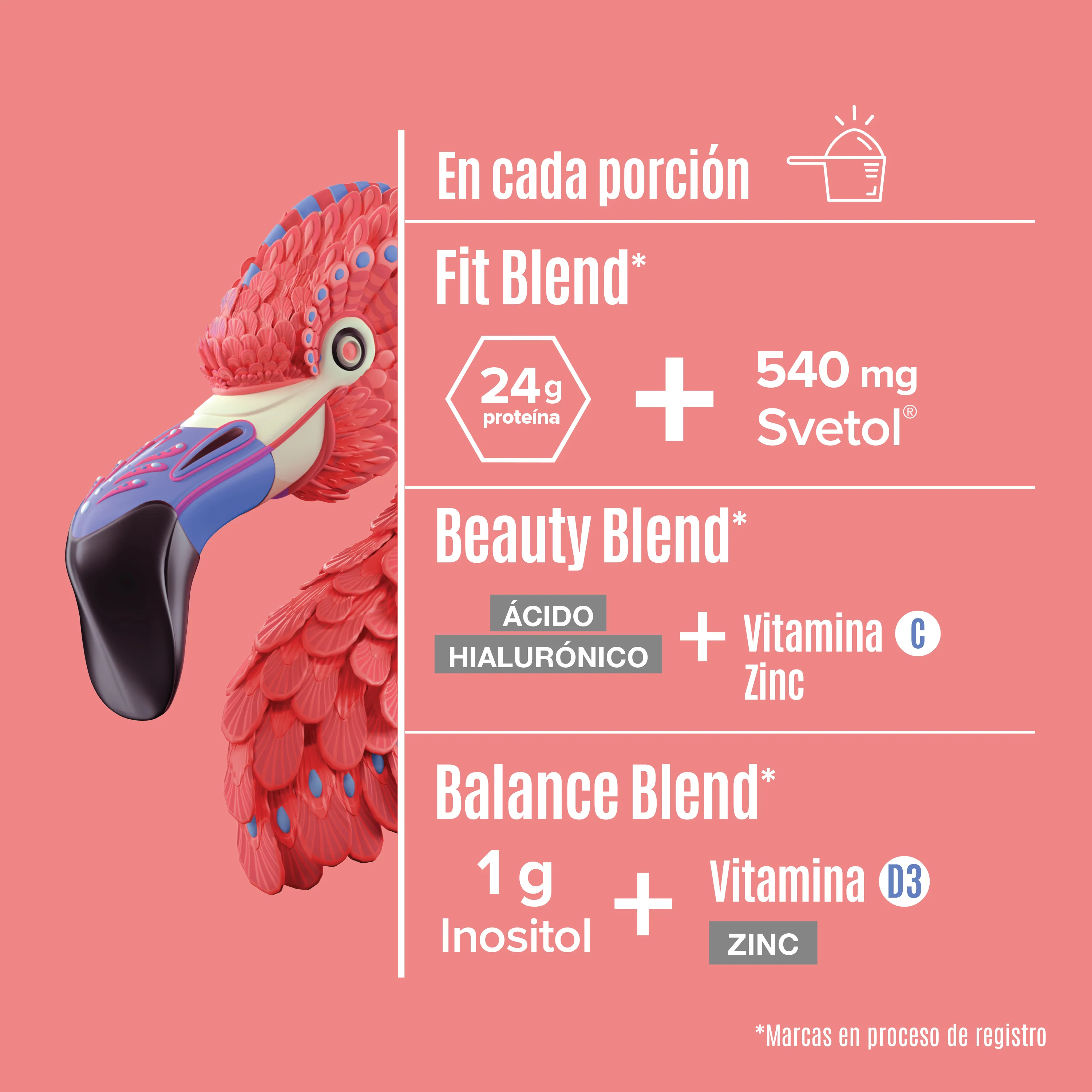 Imagen del producto 5