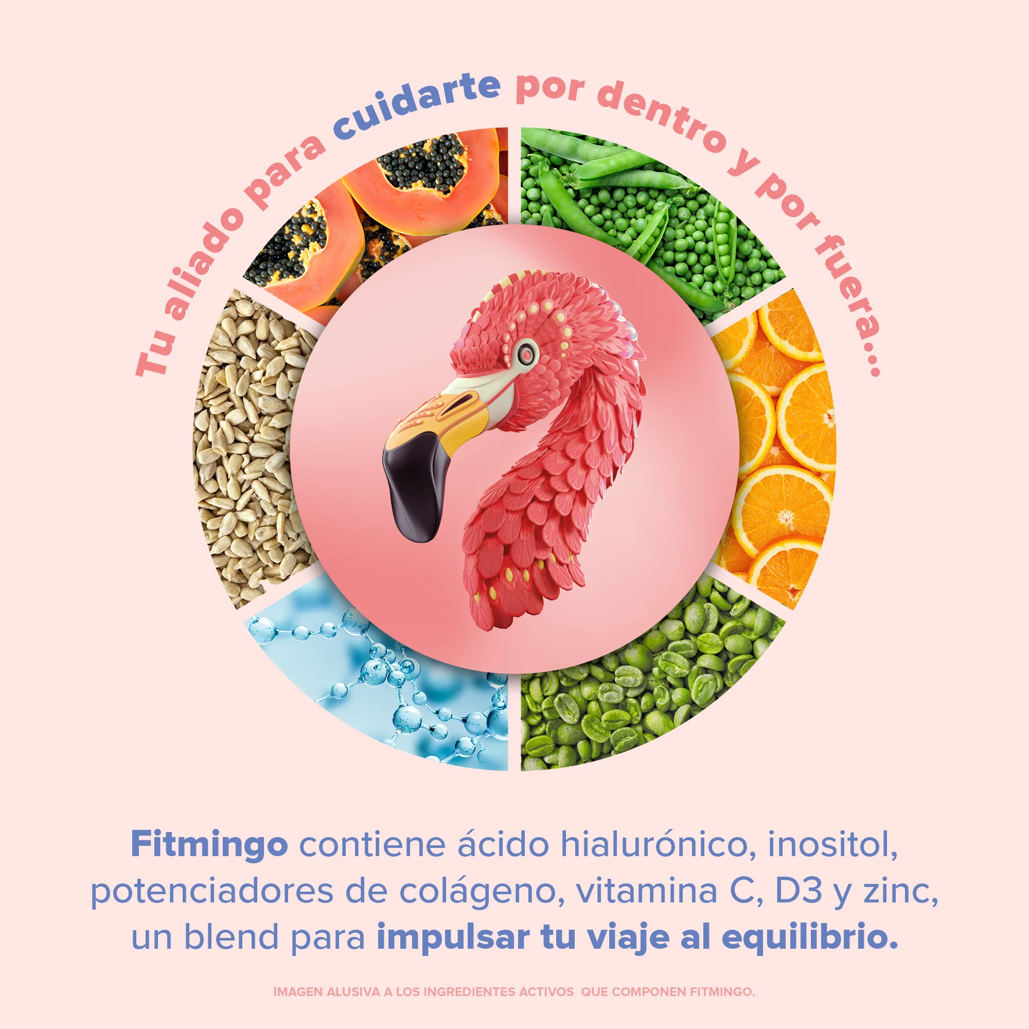 Imagen del producto 6