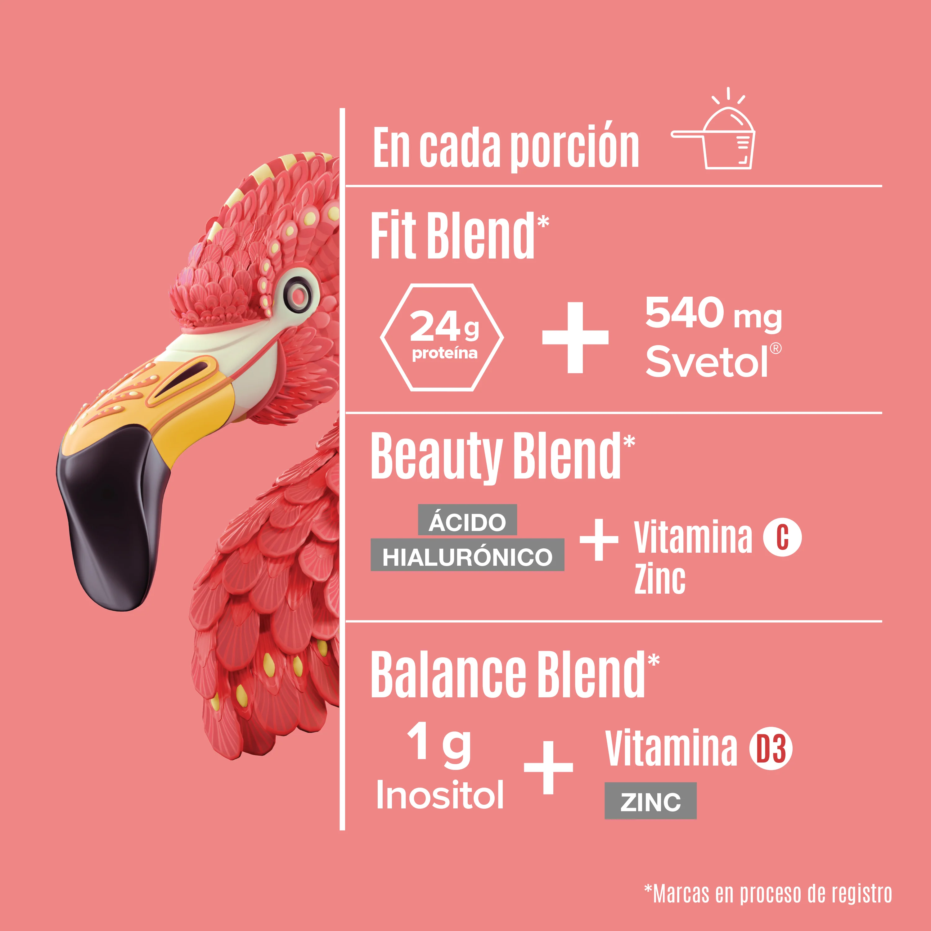 Imagen del producto 5