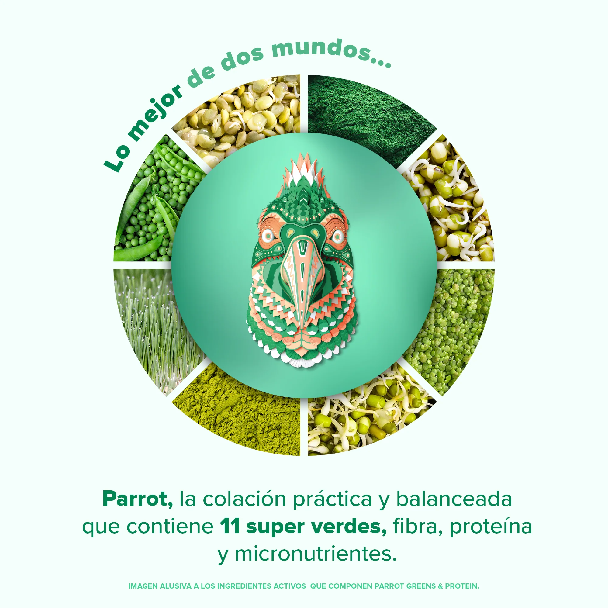 Imagen del producto 5