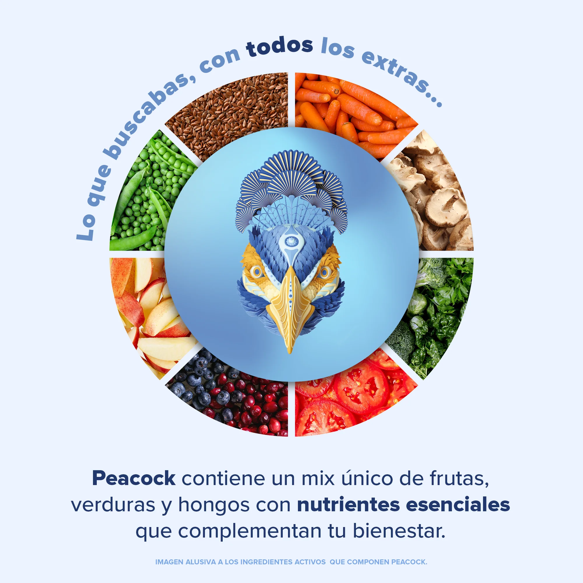 Imagen del producto 5